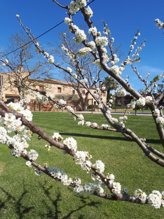 Masia Rural Can Poch Pals Dış mekan fotoğraf