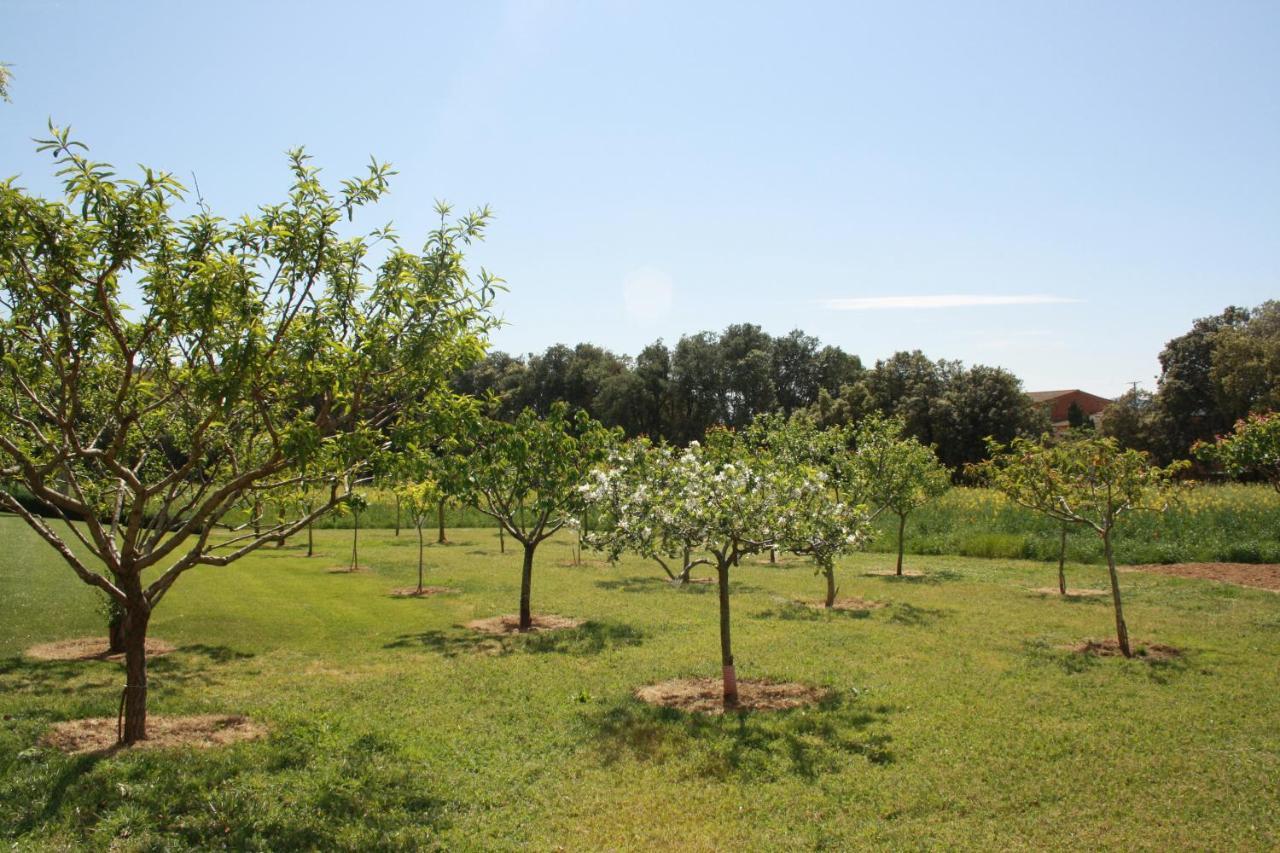 Masia Rural Can Poch Pals Dış mekan fotoğraf
