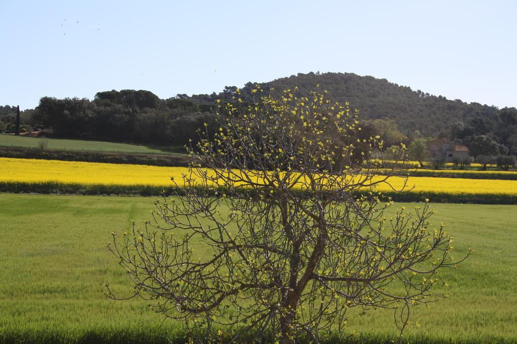 Masia Rural Can Poch Pals Dış mekan fotoğraf